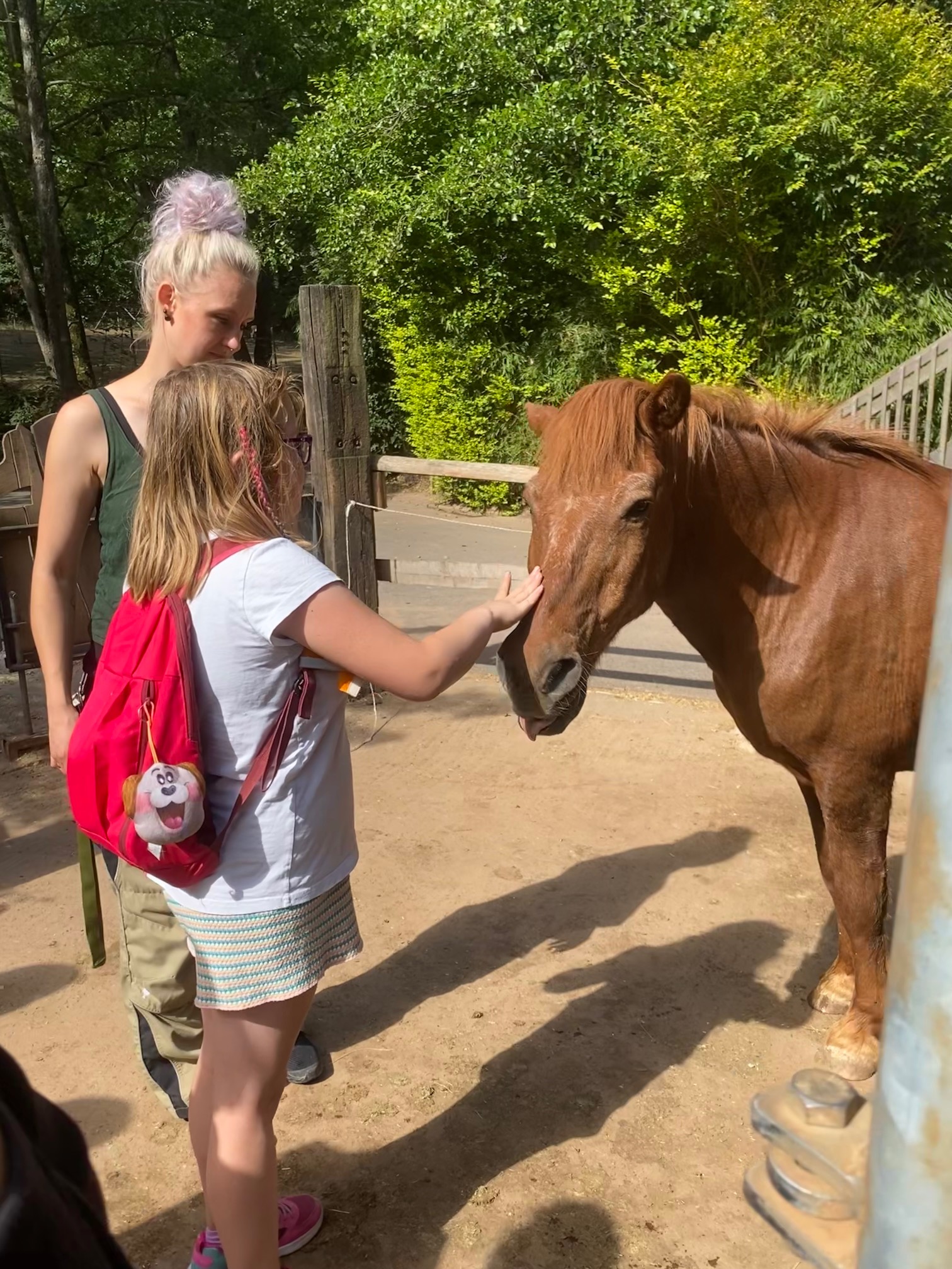 Sch%C3%BClerin%20streichelt%20Islandpony Sch%C3%BClerin%20streichelt%20Islandpony